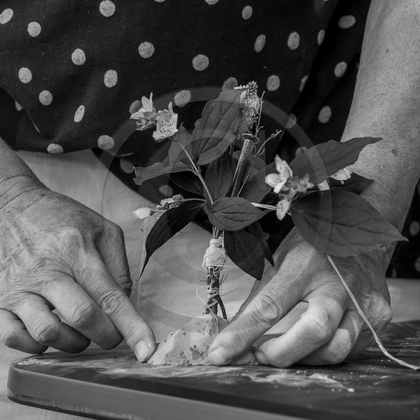 26 juin 2023 : journée des aidants et des aidés