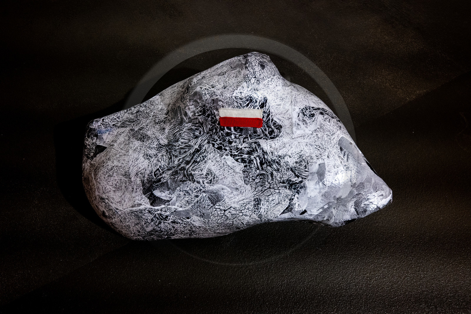 Expositions à la maison du Berger - Champoléon