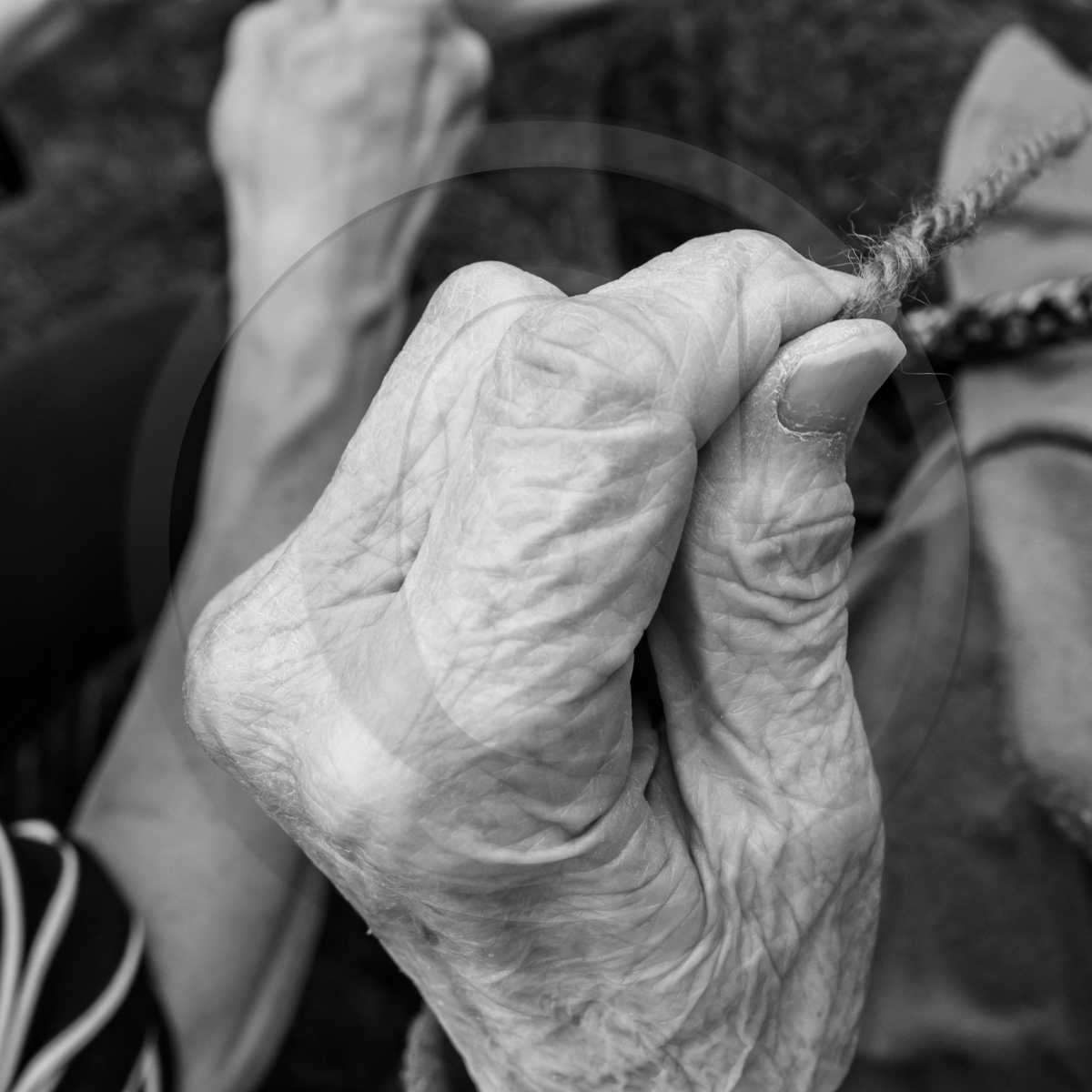 Atelier laine et promenade au jardin