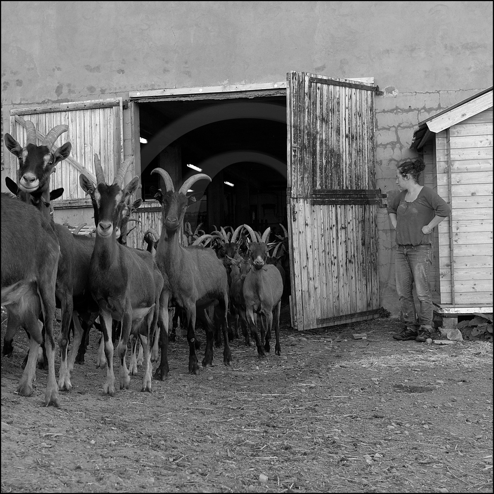 La ferme des Cabrioles
