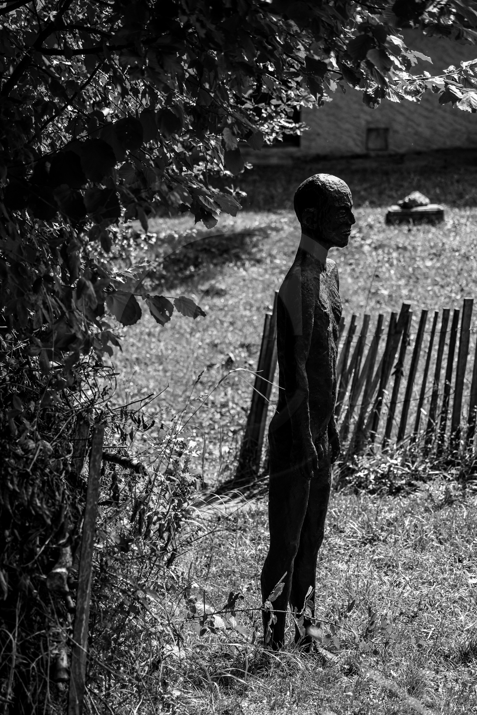 Exposition La forêt d'hommes, une création de Barbara Fougnon, artiste plasticienne