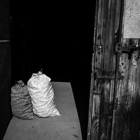 La récolte des pommes de terre