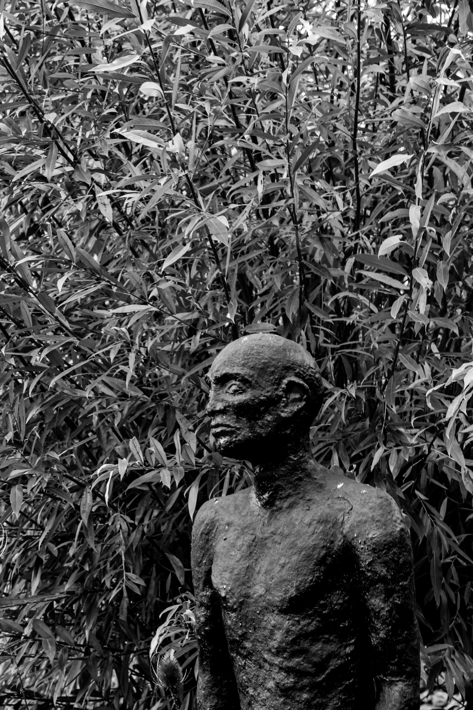 Exposition La forêt d'hommes, une création de Barbara Fougnon, artiste plasticienne