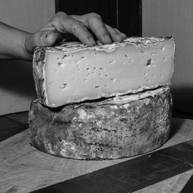 Le GAEC des Counières