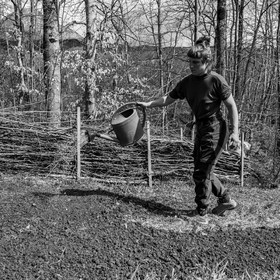 14 avril 2021 : collages, taille, jardinage