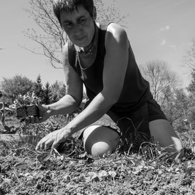 31 mai 2017 - Jardinage