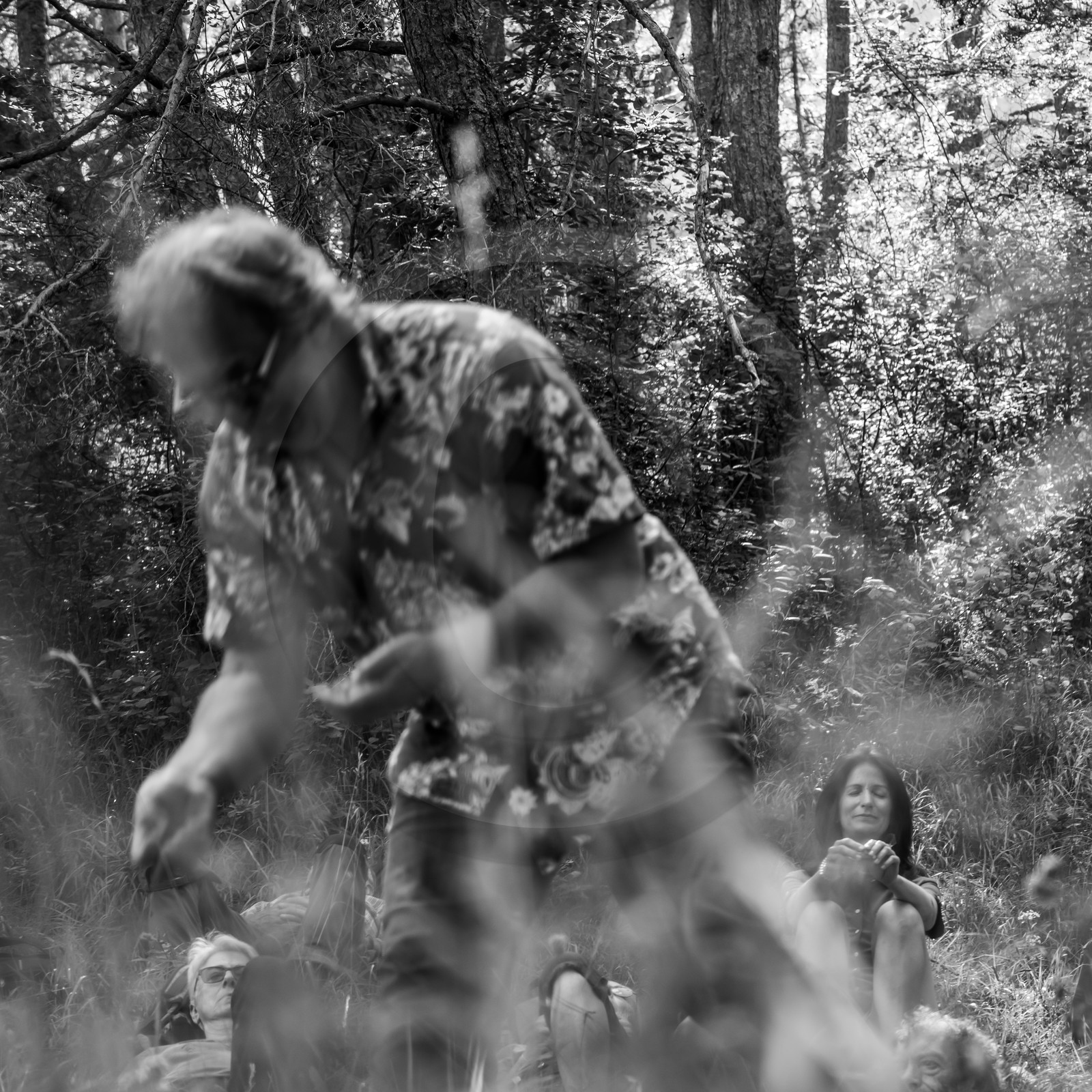 Arpenter le paysage avec Martin de la Soudière