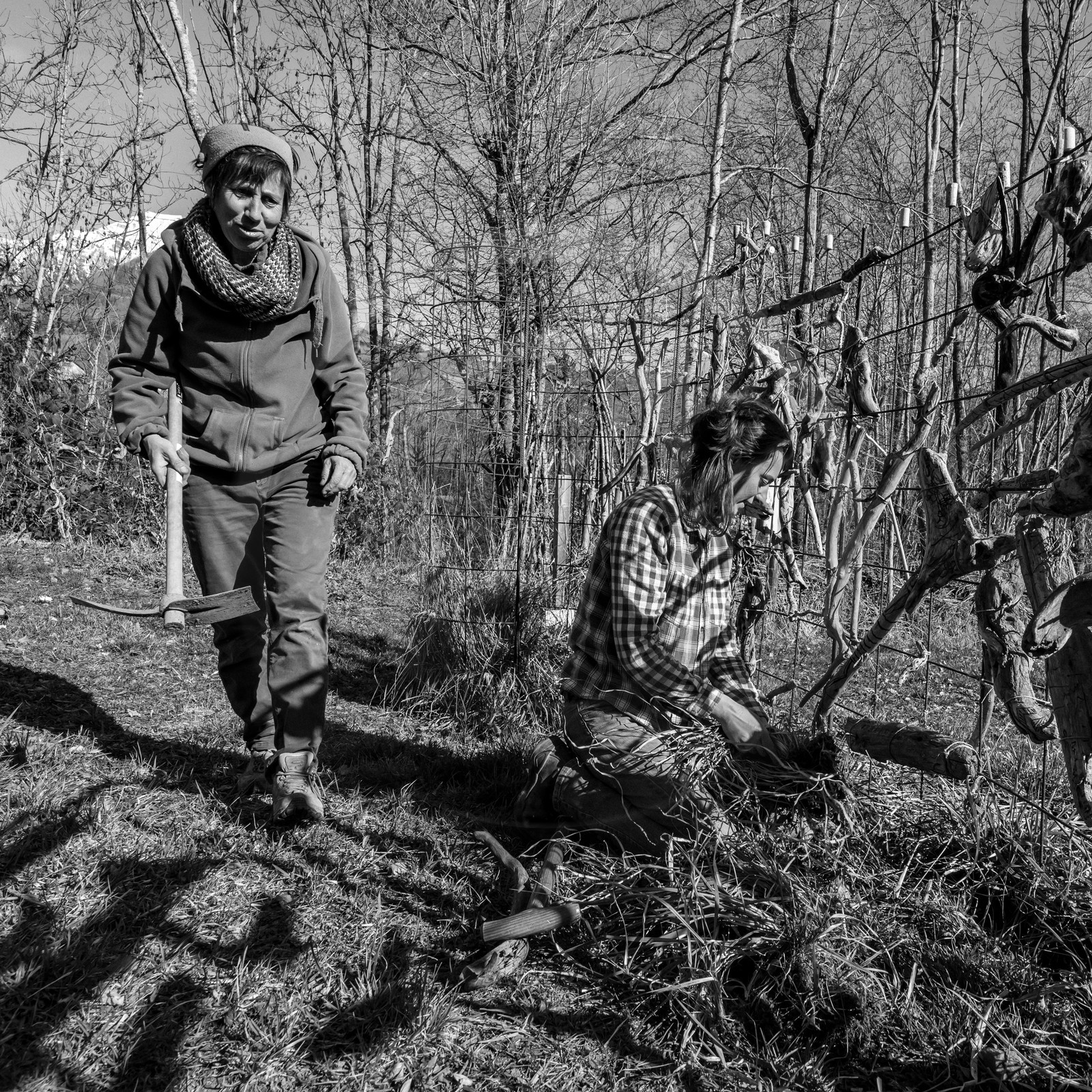 10 mars 2021 : on jardine, on fabrique des jeux