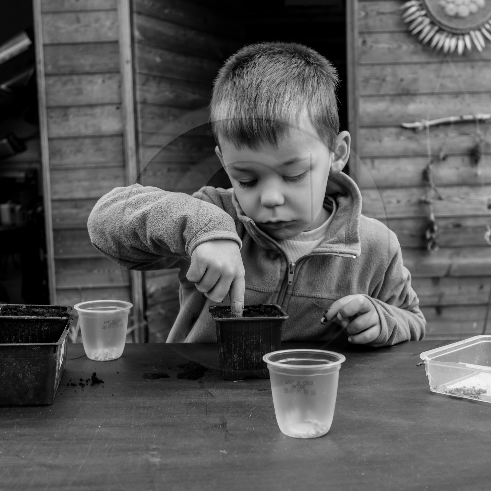 Semis, tournesols et jeux