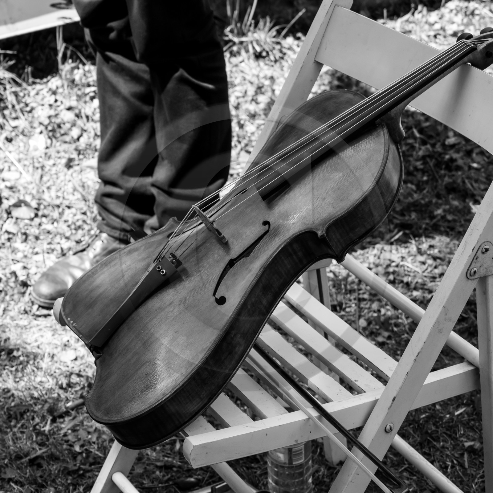 07 août 2017 - Sieste Musicale