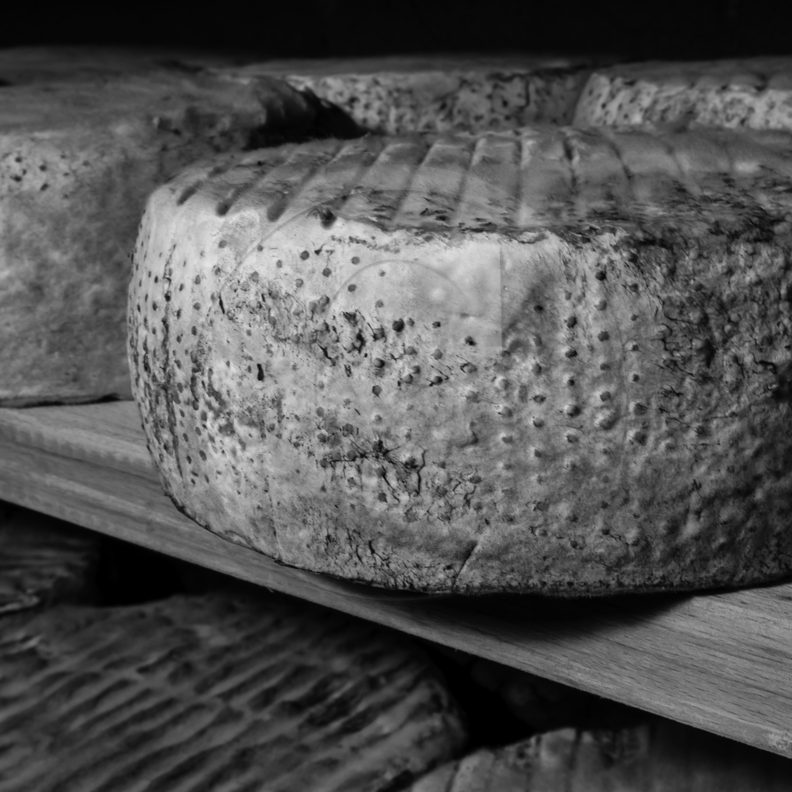 Les GAEC des Counières