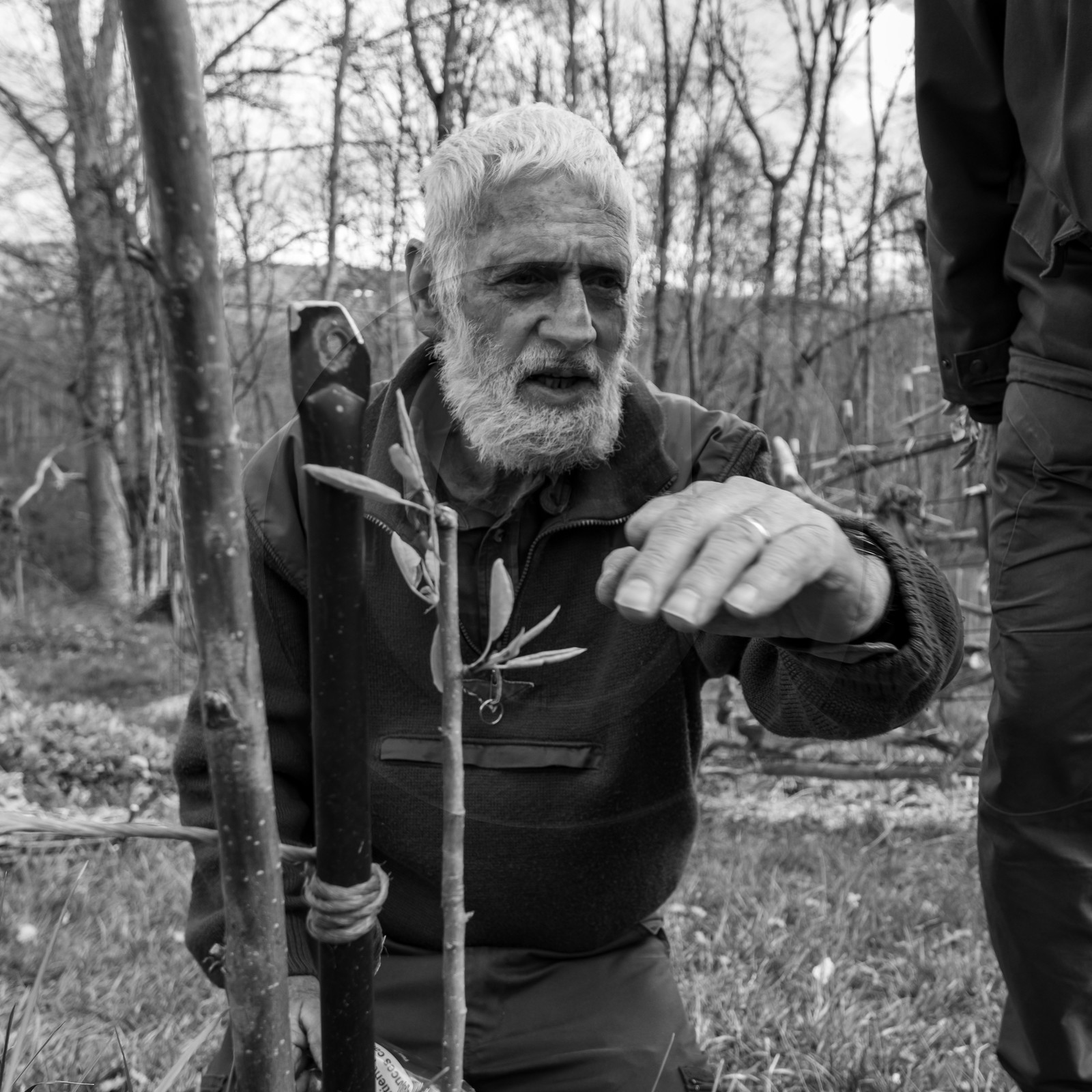 14 avril 2021 : collages, taille, jardinage