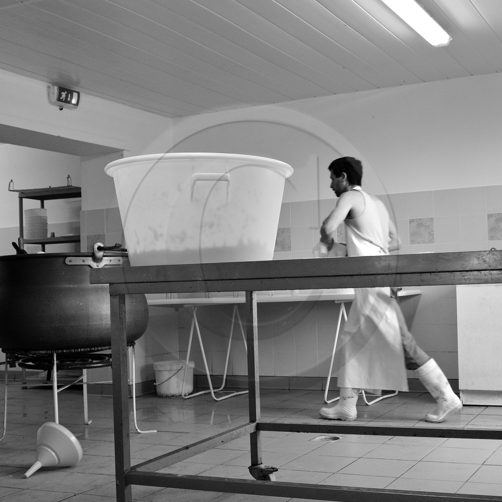 Paul Flambard, fromager