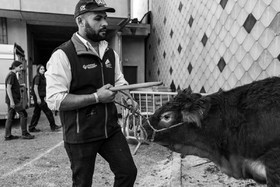 Rencontres paysannes à Saint-Bonnet en Champsaur