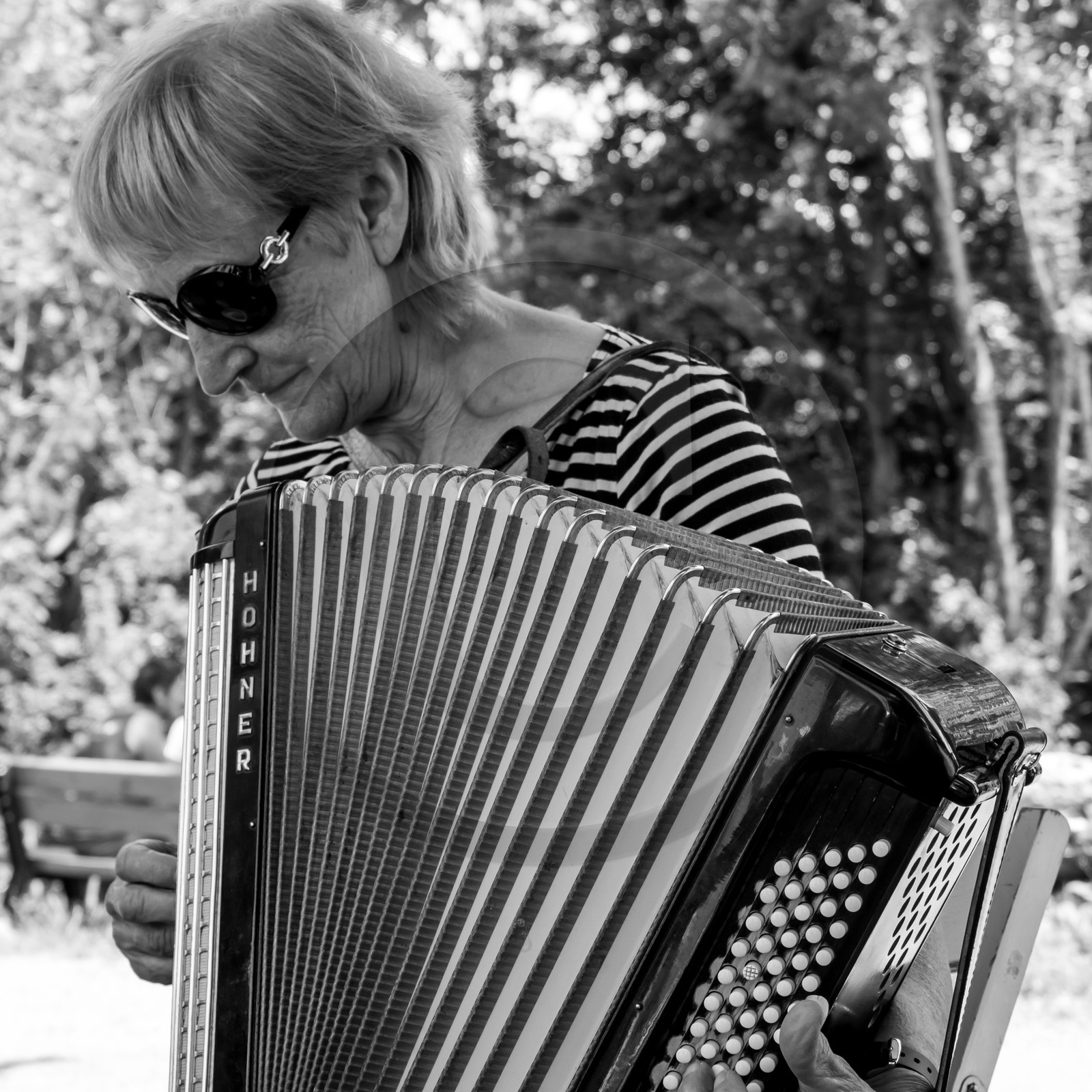 21 juin 2017 - Installation des épouvantails