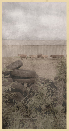 Le kilomètre dérogatoire