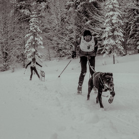 La Valgaude Traineau 2015