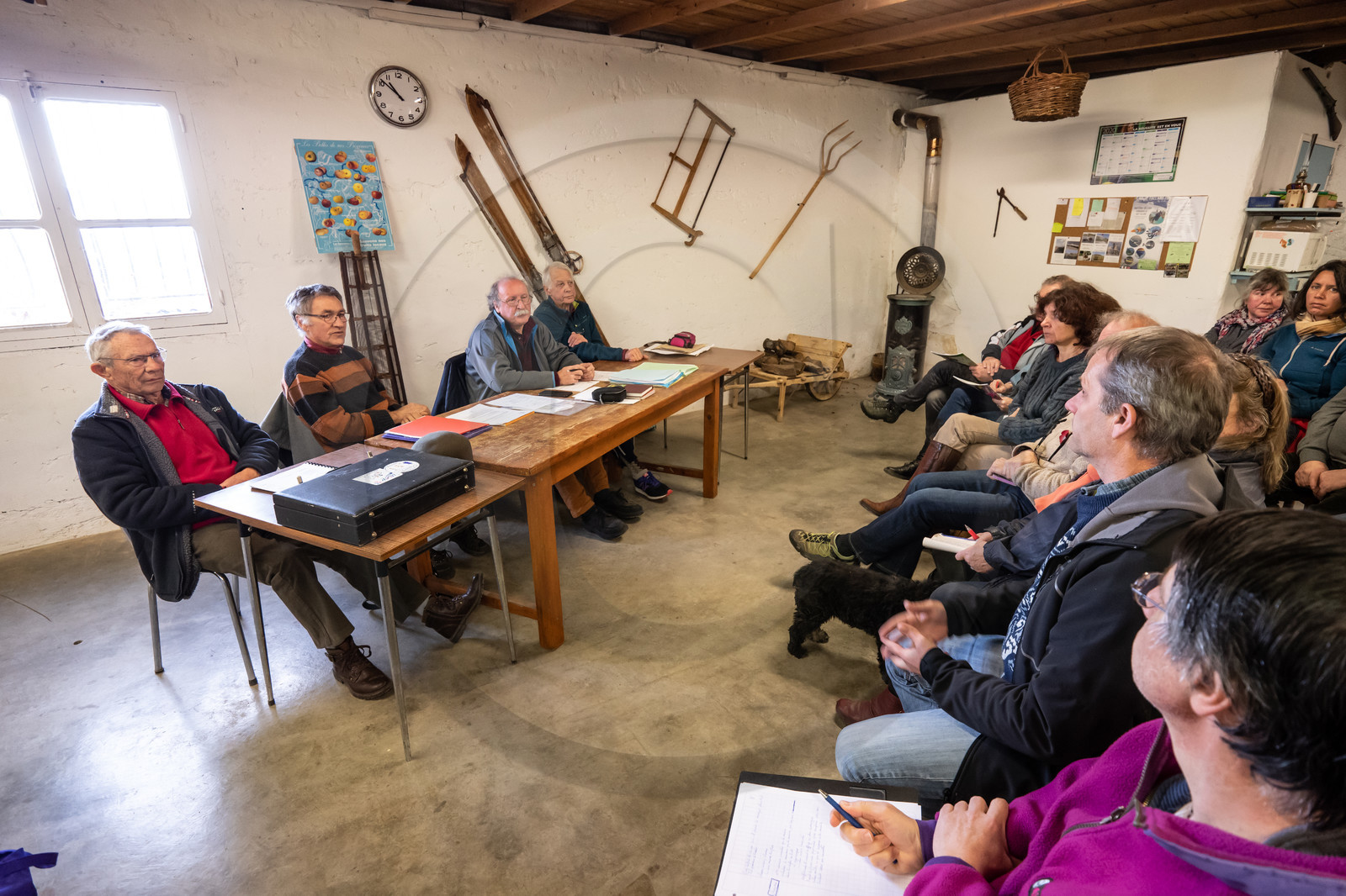 Croqueurs de pommes des Alpes Latines