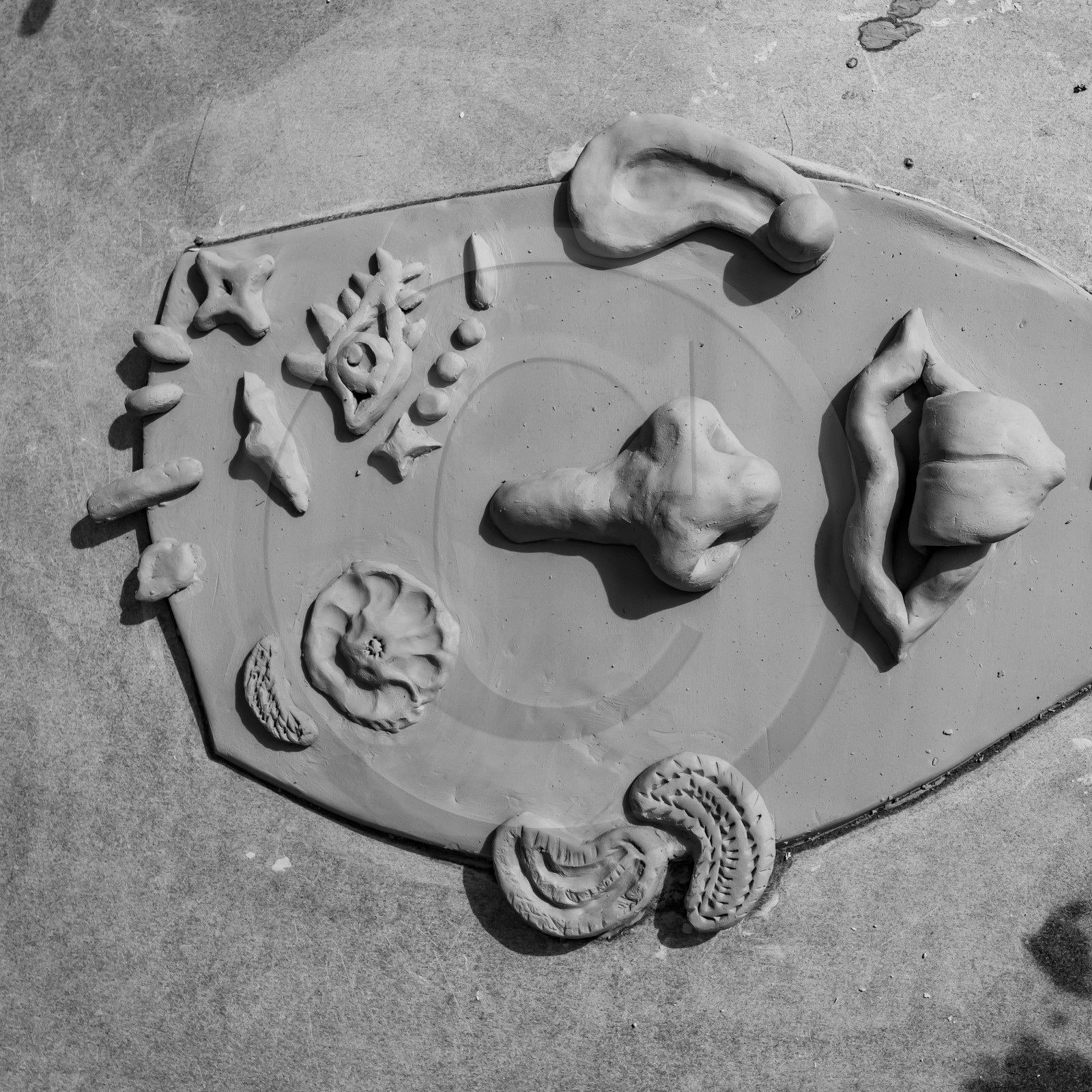 14 juillet 2021 : De la terre et des masques