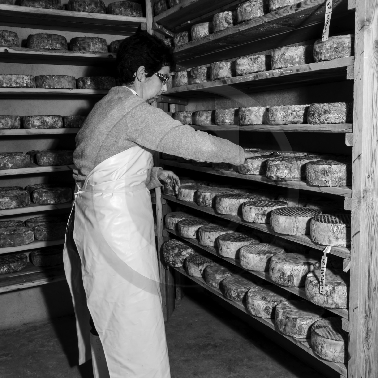 Les GAEC des Counières