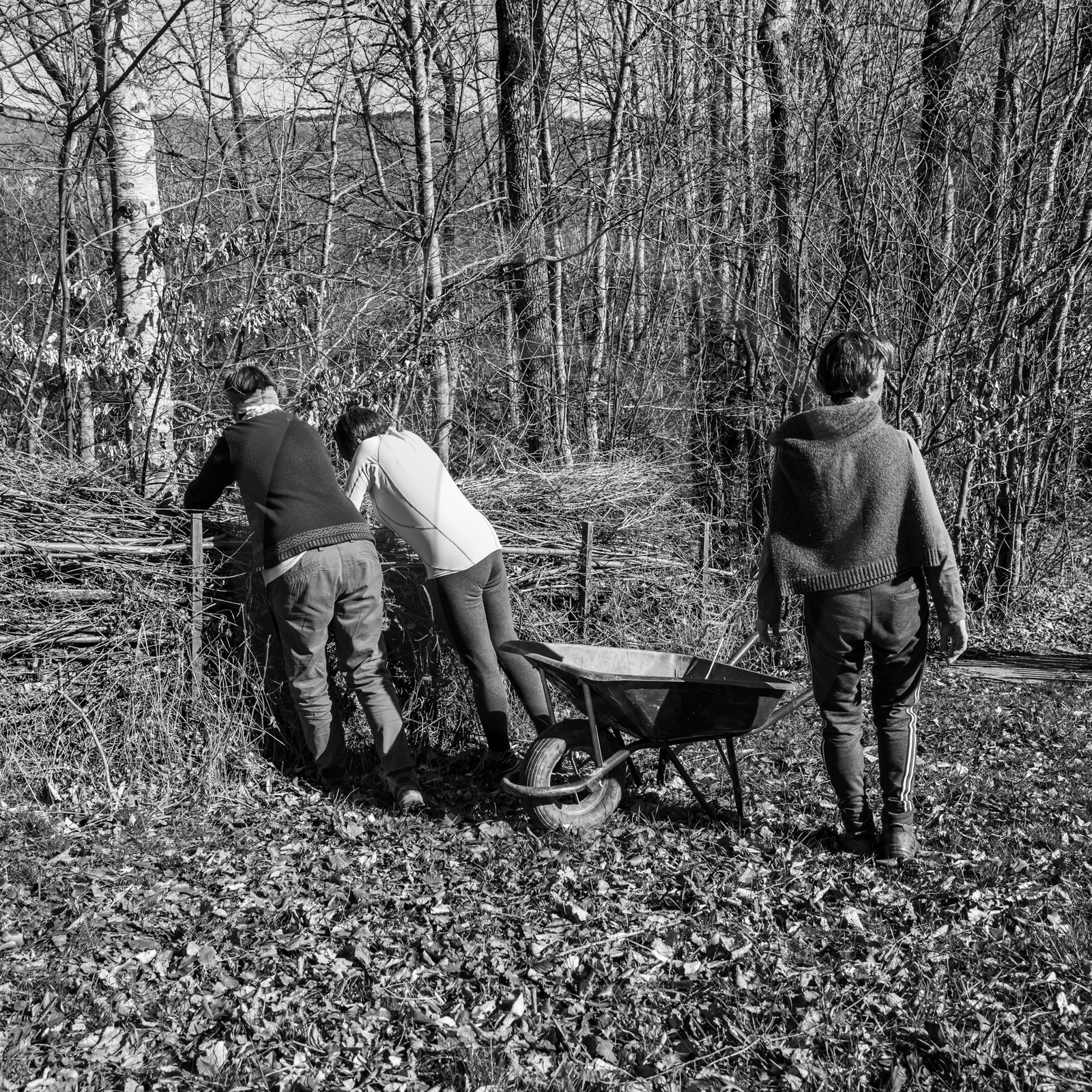13 mars 2024 : c'est la reprise à l'Ouort