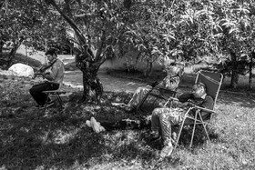 26 juin 2024 : Sieste Musicale avec Balthazar