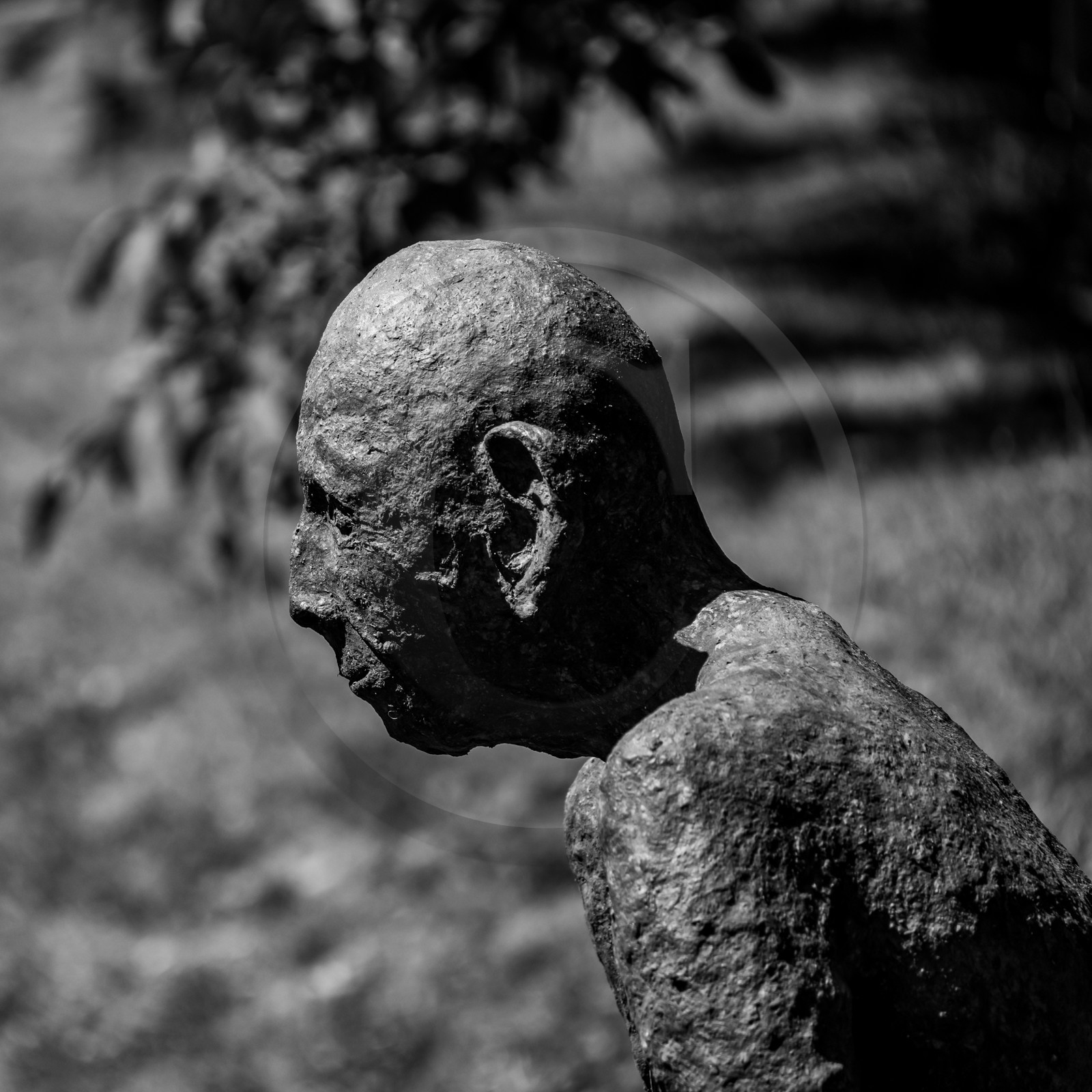 21 aout 2024 : Réalisation de Marcel Joli Coeur, l'homme de l'Ouort avec Barbara Fougnon, artiste plasticienne, et un anniversaire en chansons.