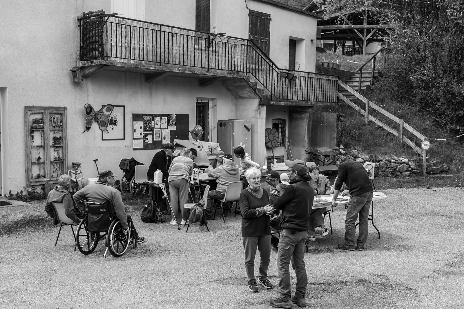 23 avril 2025 : Des oiseaux et des plantes