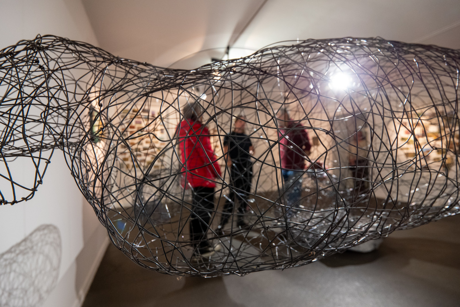 Expositions à la maison du Berger - Champoléon