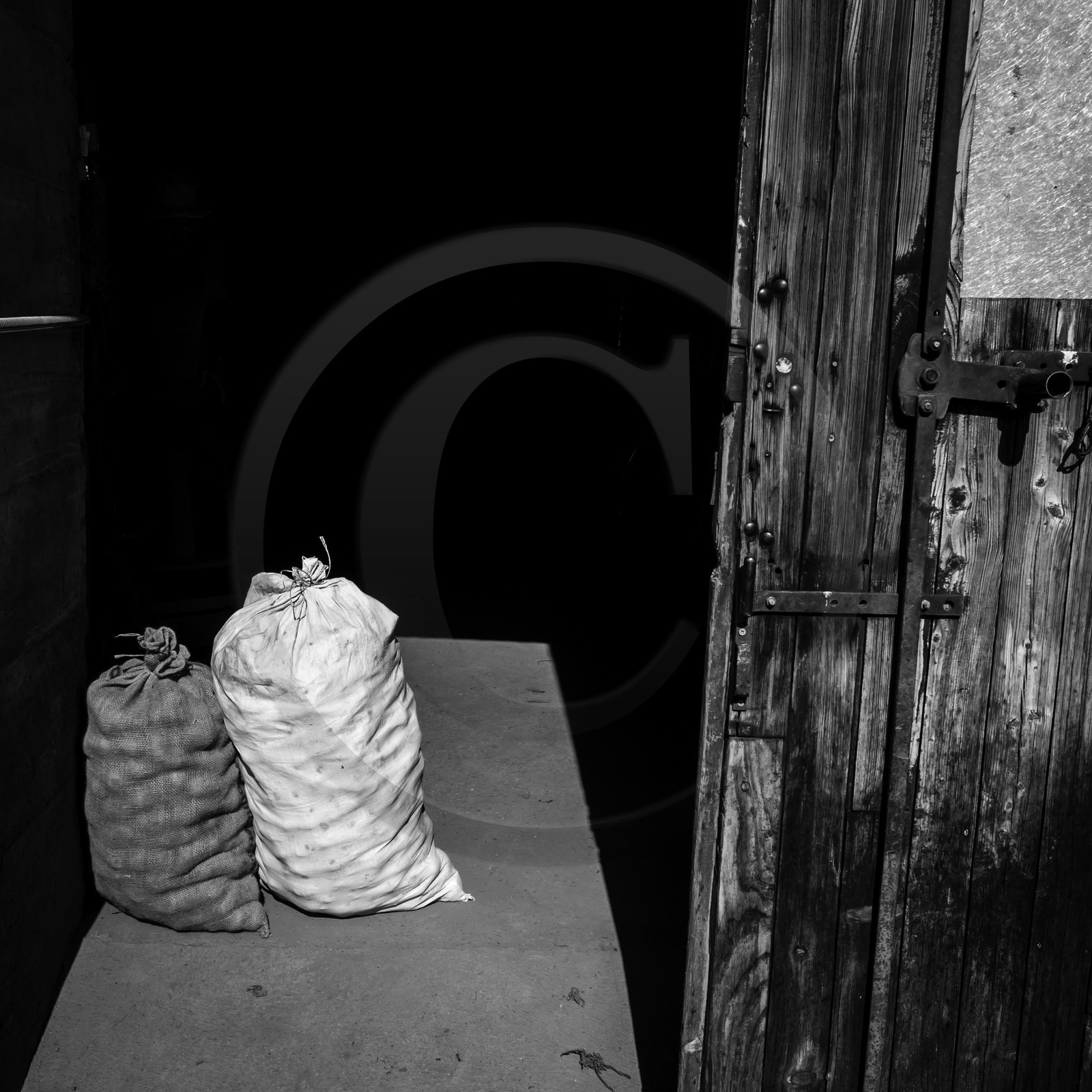 La récolte des pommes de terre