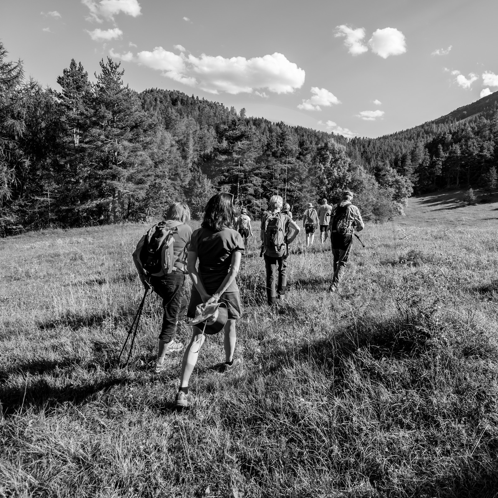 Arpenter le paysage avec Martin de la Soudière