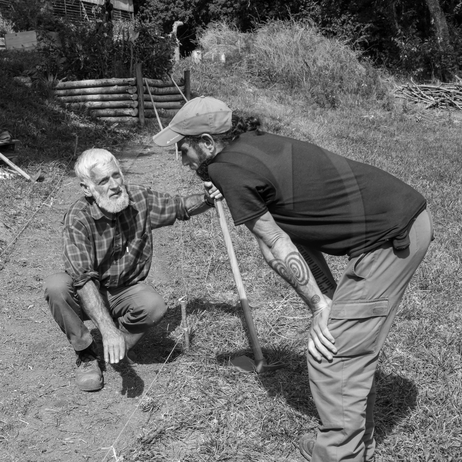 13 septembre 2017 - Chemins - Graines