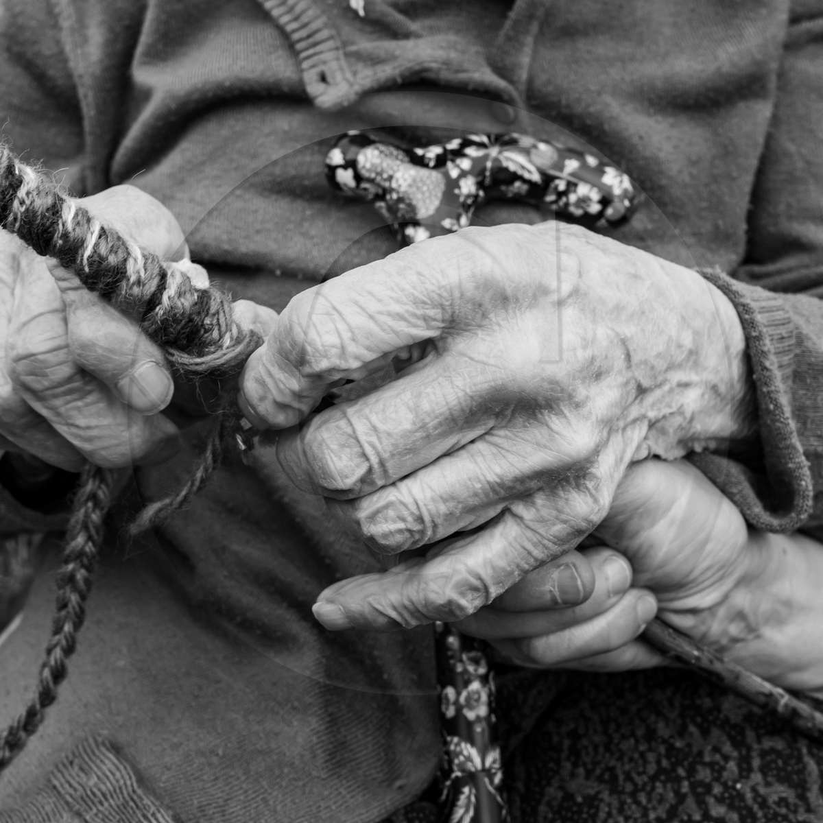 Atelier laine et promenade au jardin