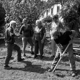 13 septembre 2017 - Chemins - Graines