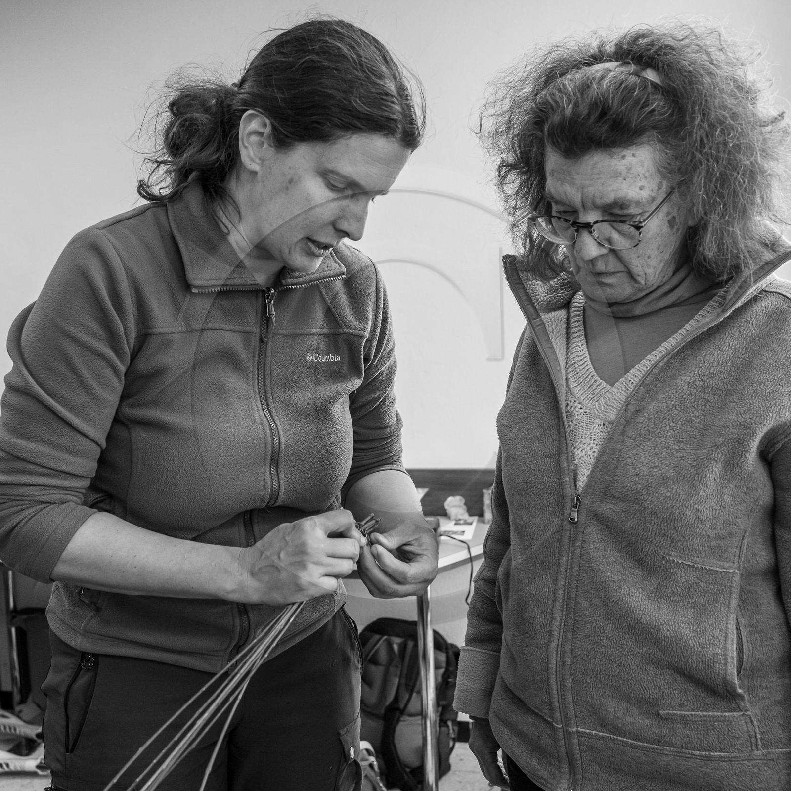 10 avril 2024 : Osier, laine et taille