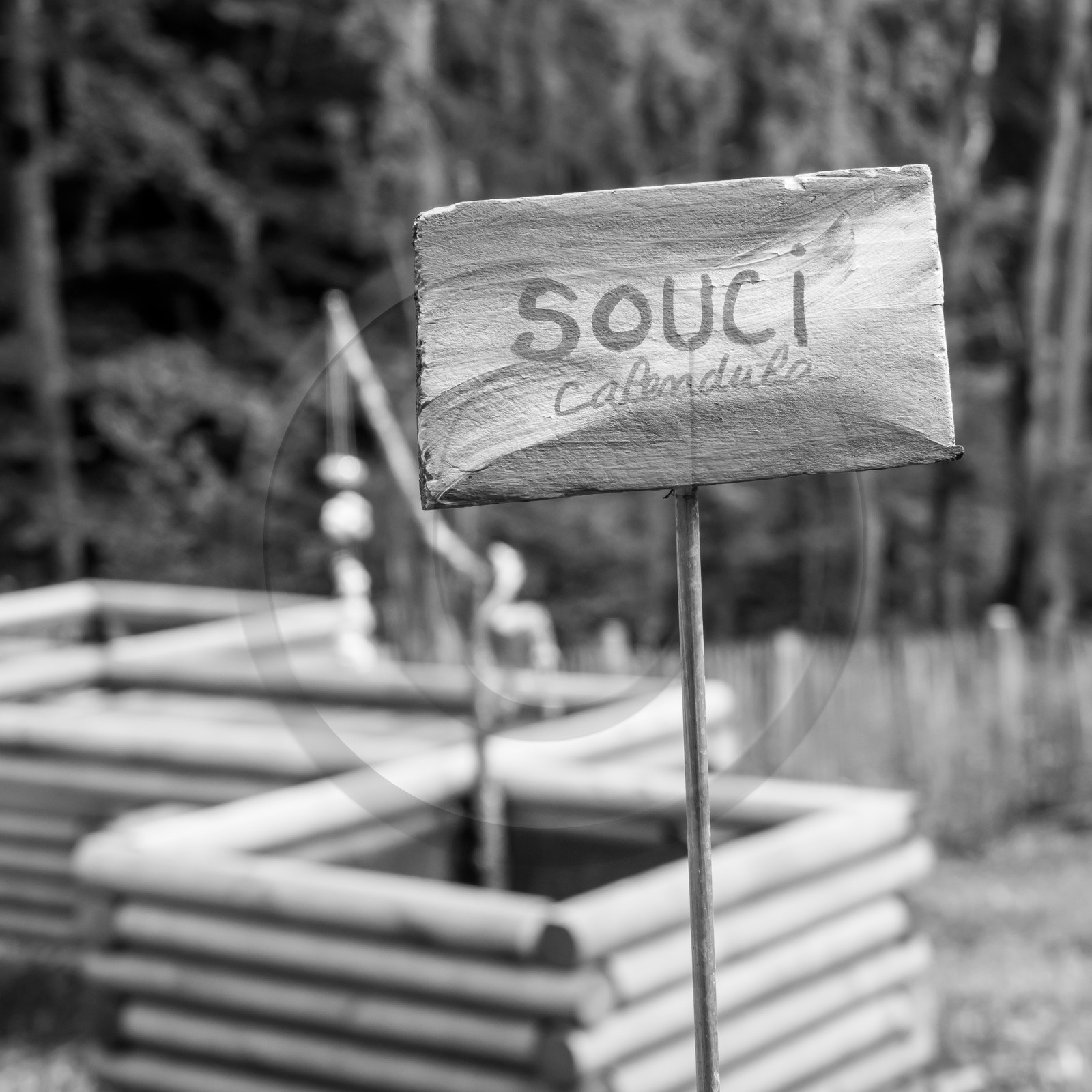 Une après-midi au jardin