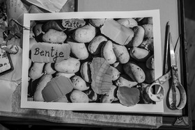 28 août 2024 : A la Maison de la Botanique du Noyer en Champsaur. Visite de l'exposition L comme laine, lien, lieu. Lectures par Les Colporteurs. Collages sur les photographies de Denis Lebioda