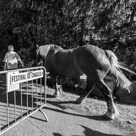 Jeanne Bleuse - Festival de Chaillol