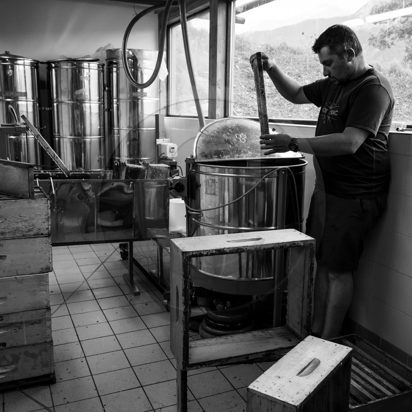 L'extraction du miel