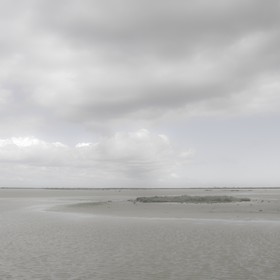 Camargue couleur pastel