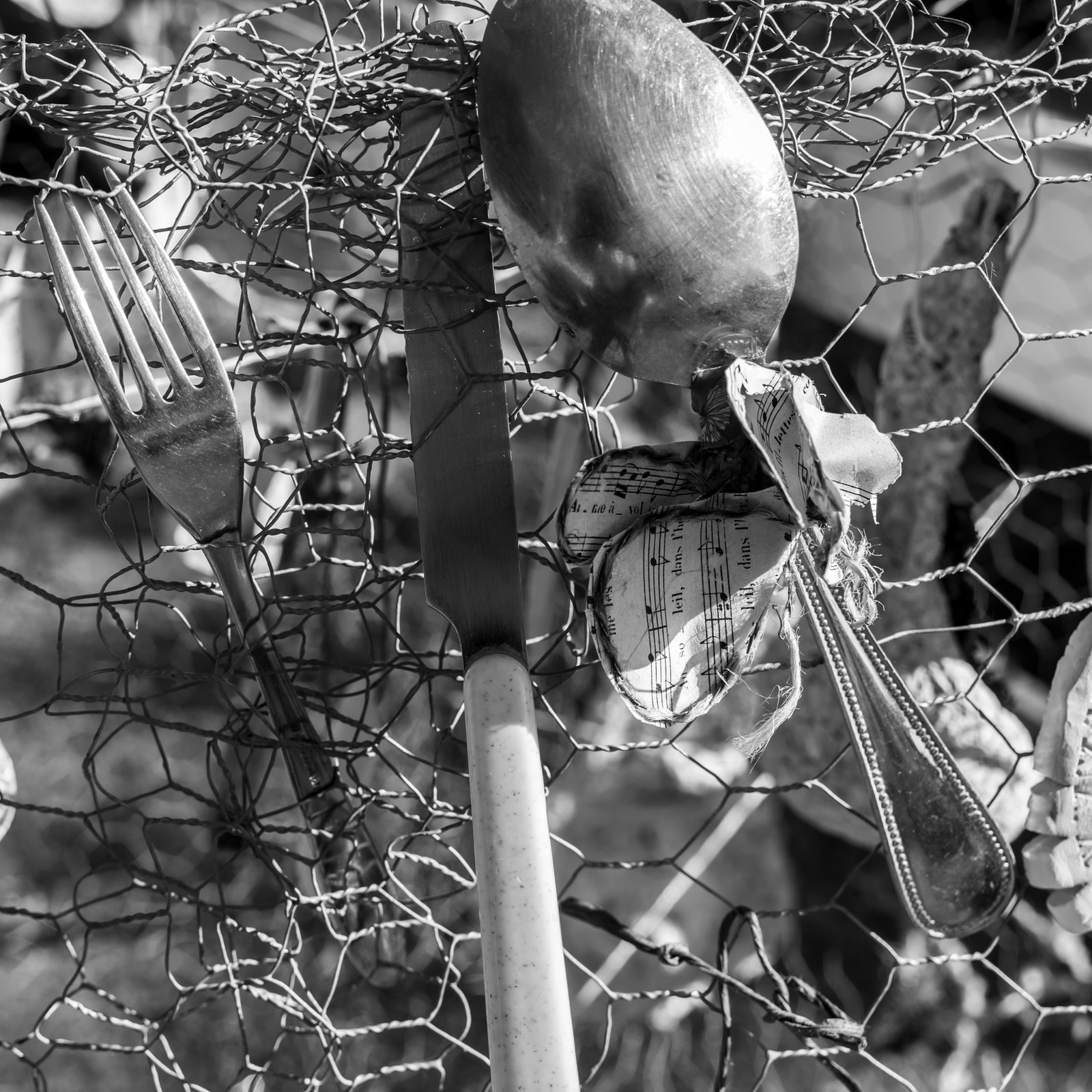 10 octobre 2025 : Journée des aidants