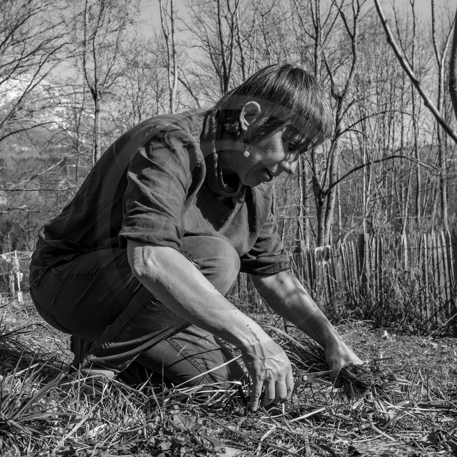 24 février 2021 : on taille, on prépare le jardin...