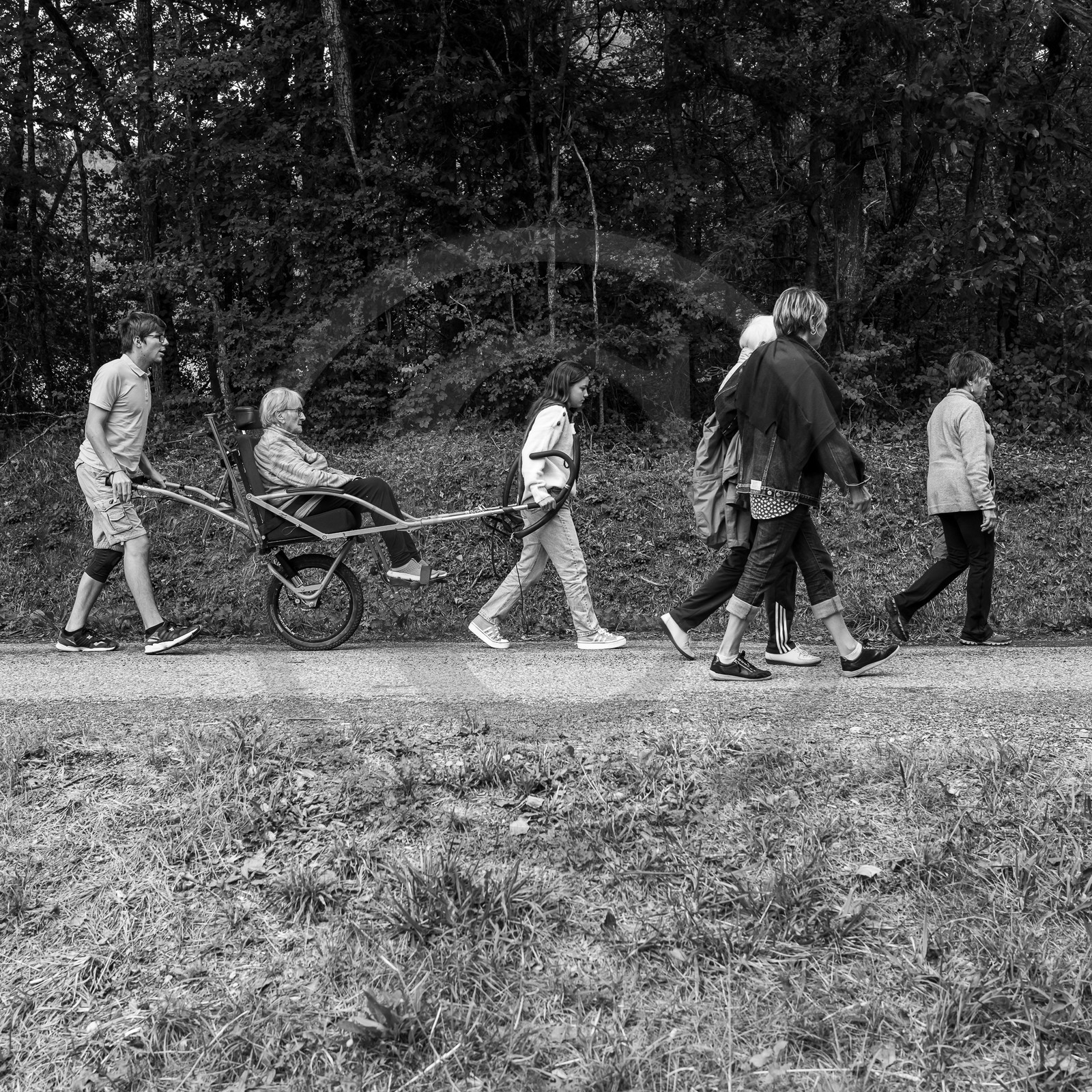 20 septembre 2023 : Promenade en joelette