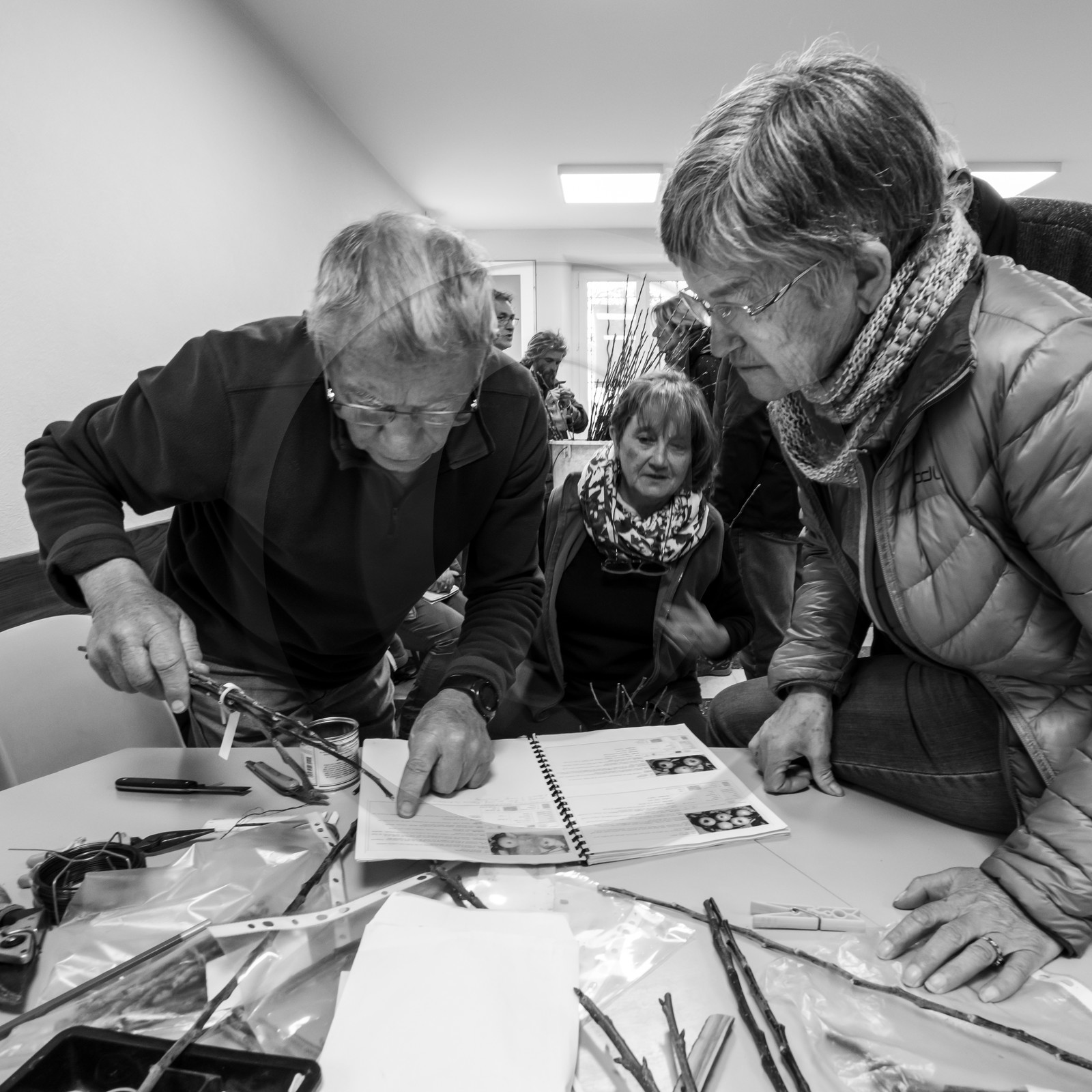 03 avril 2019 : Initiation à la greffe d'arbres fruitiers