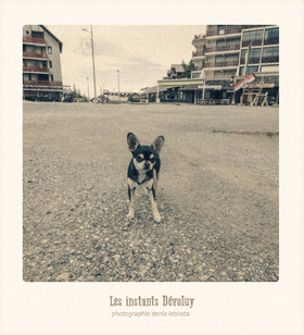 Les Instants Dévoluy
