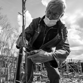 14 avril 2021 : collages, taille, jardinage