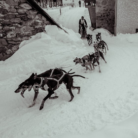 La Valgaude Traineau 2015