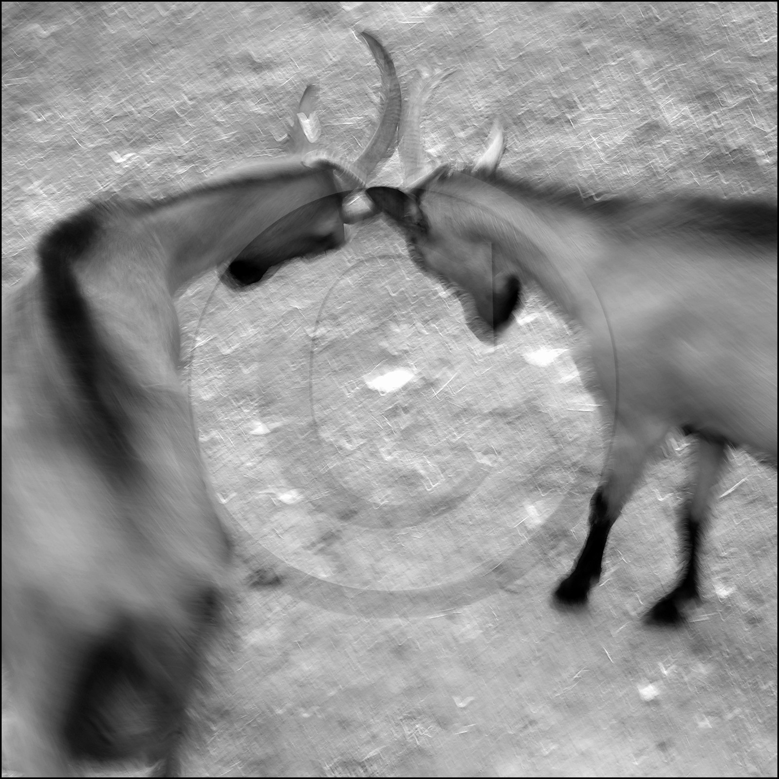 La ferme des Cabrioles