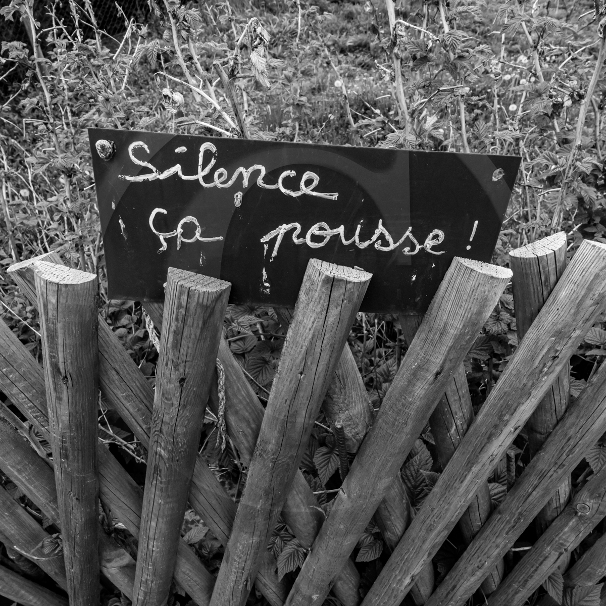 09 mai 2022 : L'UCC à l'Ouort