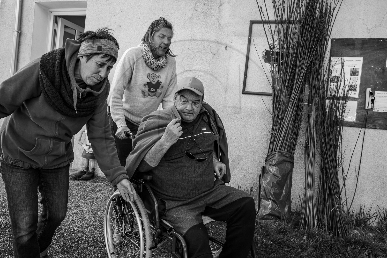 10 avril 2024 : Osier, laine et taille